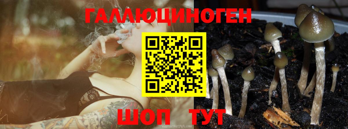 Псилоцибиновые грибы прущие грибы  Галлюциногенные грибы мицелий  Курчатов  Вход с VPN 